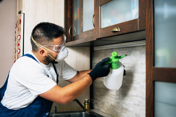 Pest Prevention Services in Galva, KS