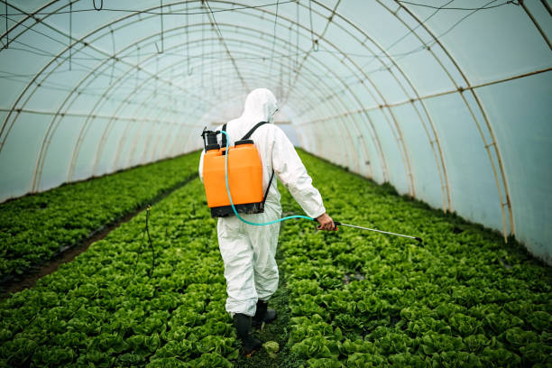 Best Best Pest Control Companies  in Galva, KS