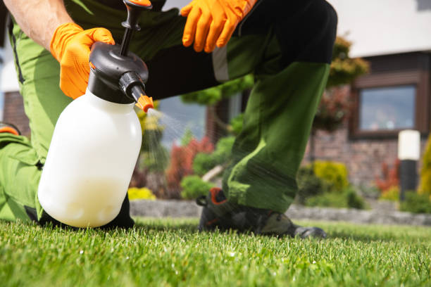 Best Pest Control Cost  in Galva, KS