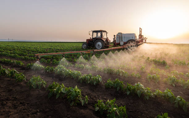 Best Best Pest Control Companies  in Galva, KS