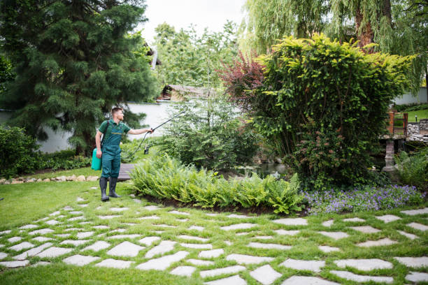 Best Residential Pest Control  in Galva, KS