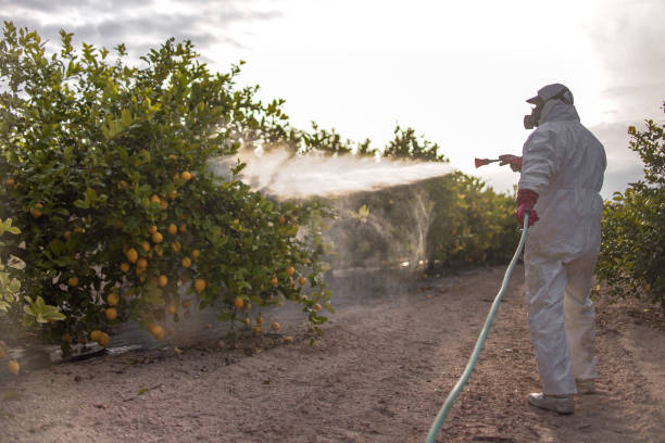 Best Flea Control Services  in Galva, KS