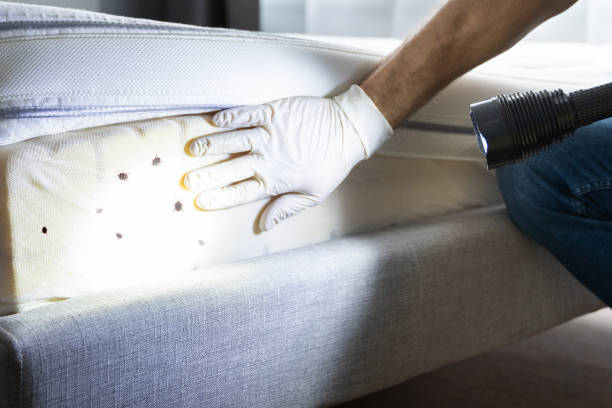 Best Pest Control Near Me  in Galva, KS